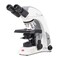 Motic Instruments Usa Panthera Cloud Compound Upright Microscope 1100403300201 - alternate 1